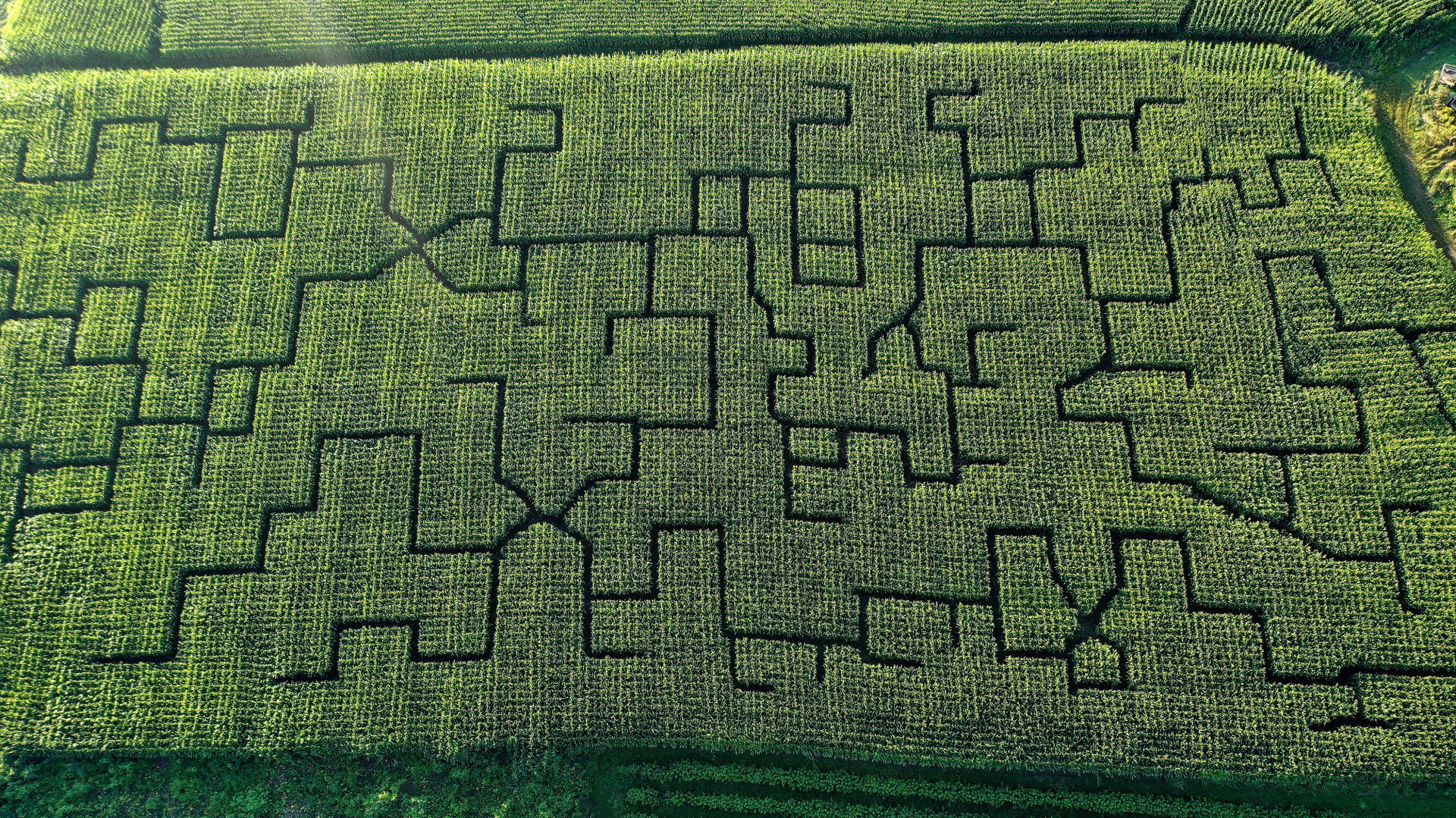 Sutters Ridge Farm